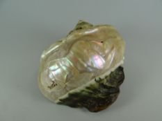 A CARVED ABALONE SHELL featuring a South Sea nude with fan, applying a flower to her long hair