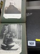 Three excellent antique postcard albums