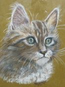 Mixed media portrait of a cat