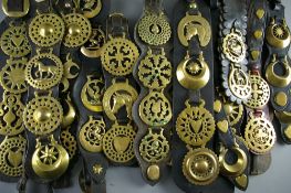 SHIRE/HEAVY HORSE BRASSWARE mounted on fourteen martingales including six double strap examples,