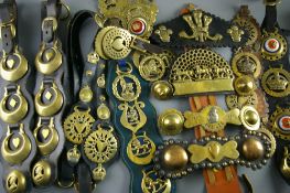 SHIRE/HEAVY HORSE BRASSWARE - a royal commemorative grouping with others including a 'Victoria