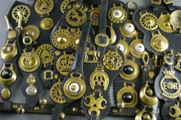 FORTY PLUS VICTORIAN & LATER HORSE BRASSES mostly multiple displays on martingales including