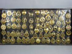 SHIRE/HEAVY HORSE BRASSWARE - a 4ft 1ins display board of royalty and pierced pattern single and