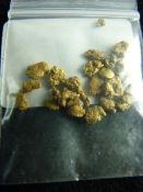 CLOGAU WELSH GOLD SMALL NUGGETS & FLAKES, 6.24 grms