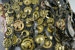 SHIRE/HEAVY HORSE BRASSWARE - on twenty plus martingales and strapwork including nosebands and