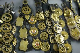 SHIRE/HEAVY HORSE BRASSWARE including two coiled straps, twelve multi-brass martingales and one