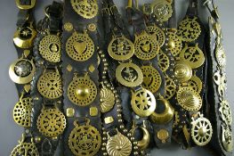 SHIRE/HEAVY HORSE BRASSWARE - a group of ten martingales displaying thirty plus brasses, both