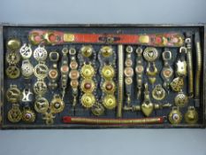 SHIRE/HEAVY HORSE BRASSWARE - a near 4ft display board showing Victorian and later harness brassware