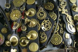 SHIRE/HEAVY HORSE BRASSWARE - twenty plus martingales, strap work, nose/headband and lead straps