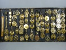 SHIRE/ HEAVY HORSE BRASSWARE - a 4ft display board of dressed martingales and individual horse