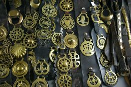 SHIRE/HEAVY HORSE BRASSWARE - twenty plus martingales, straps and nosebands etc, displaying fifty