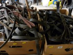 Two boxes of shire/heavy horse tack, leather strap work with decorative and other fittings etc