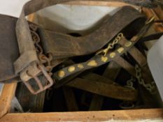 Tea chest of shire/heavy horse and leather strap work etc
