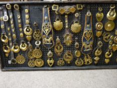 4ft 1ins display board with Victorian and later martingales and harness strap ware including rare