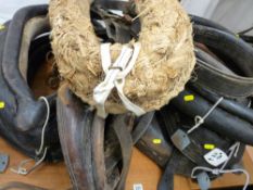Quantity of shire horse collars, various sizes and conditions