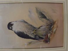 J. McCafferty (20th century), framed watercolour d
