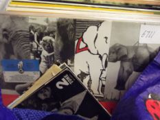 Collection of LP's