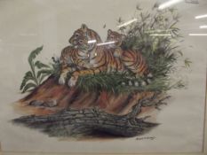 Tiger print by Peter Holmes