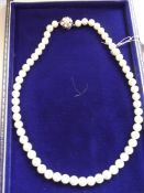 Set of pearls with 9 ct gold clasp