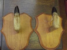 Deer hooves on wall plaque