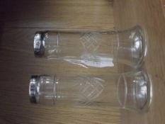 Pair of vases with silver rim