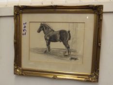 Pencil drawing of race horse