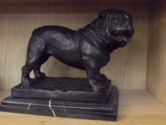Bronze bull dog, signed