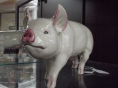 Beswick pig