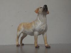 Coalport retriever