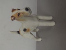 Beswick Ch. Talavera Romulus