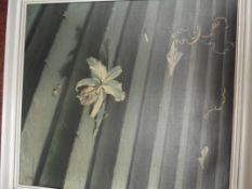 Print on canvas orchide Tretchiko 1948