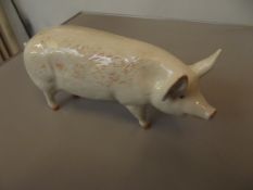 Beswick Champion Wall Queen pig