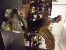 Ceramic model of a pheasant