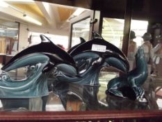 Two Poole dolphins together with a Poole sealion