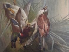 Edwardian watercolour depicting game birds