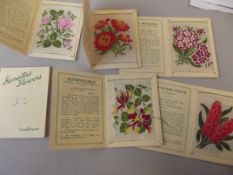 Collection of 6 silk Kensitas flowers
