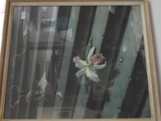 Dead orchid print, glazed