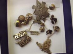 Collection of military badges and related exmples,