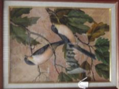 Framed birds made up by Tobacco or Vine leaves, si