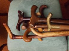 Assorted walking sticks