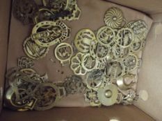 Collection of horse brasses