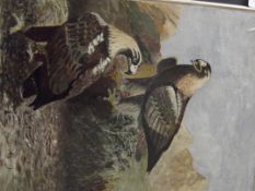 Oil on board - birds of pray, signed