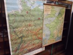 Two vintage wall maps