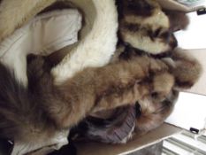 Collection of furs