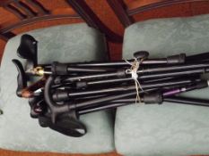 Assorted walking and hiking sticks