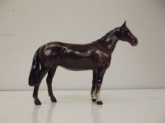 Beswick Bay horse