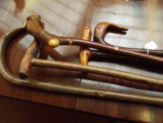 Collection of walking sticks