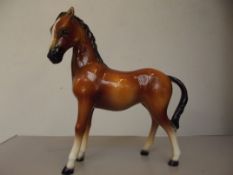 Italian horse