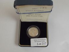 Royal Mint 2007 silver proof one pound coin