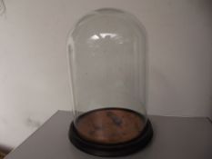 Victorian glass dome and base, 35 cm